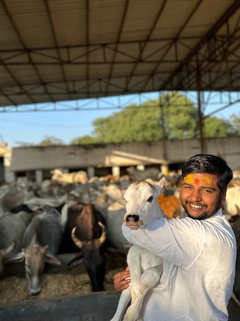 Make Vrindavan Green Again